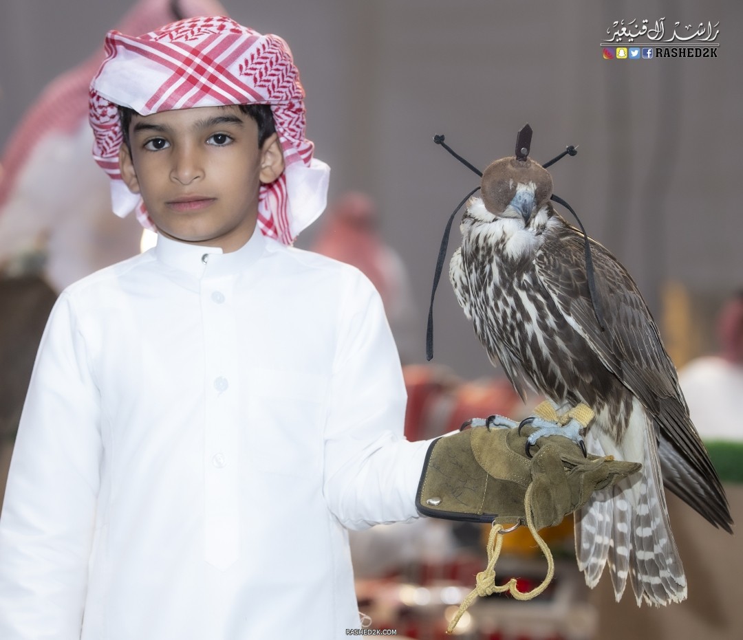 الولد الصقار