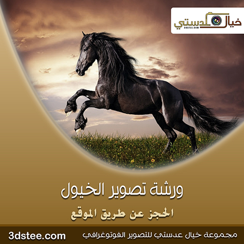ورشة تصوير الخيول ١٤٣٩