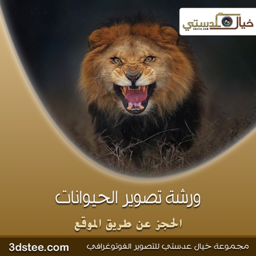 ورشة تصوير الحيوانات ١٤٣٩