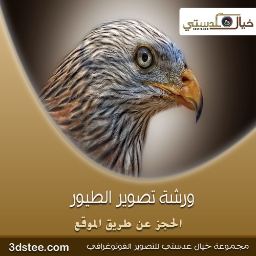 ورشة تصوير الطيور ١٤٣٩